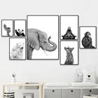 Черно-белые плакаты с животными в скандинавском стиле, полярный медведь, обезьяна, Ленивец, лиса, украшение для детской комнаты, принты, настенная Картина на холсте