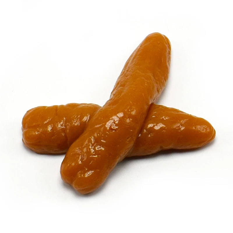 Новинка тукан мухи тараканы кляп подарок Реалистичная таракана какаш