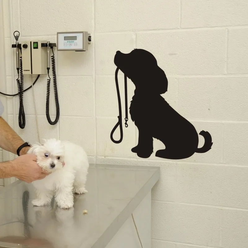 Наклейки для домашних животных салон ухода за собакой Pet Shop виниловые настенные