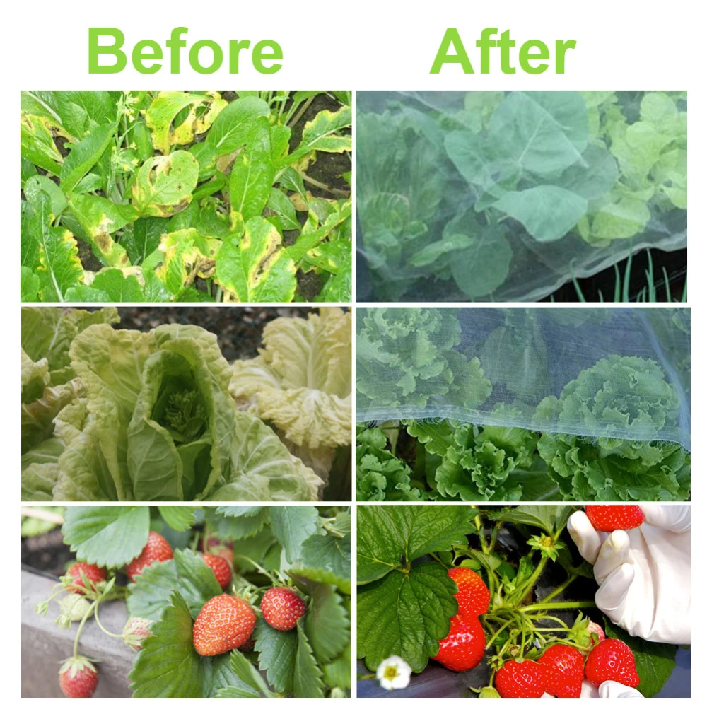 Защита растений от УФ насекомых сетка для сада Летняя Сетка защита птичьих 300x200