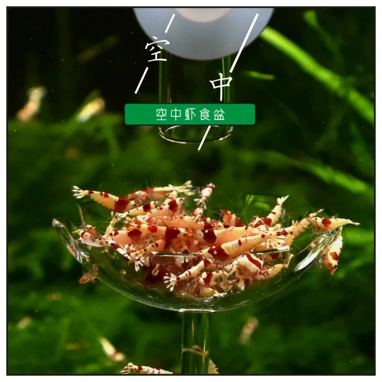 Аквариумная емкость присасываемая акриловая тарелка для креветок|Кормушки| |