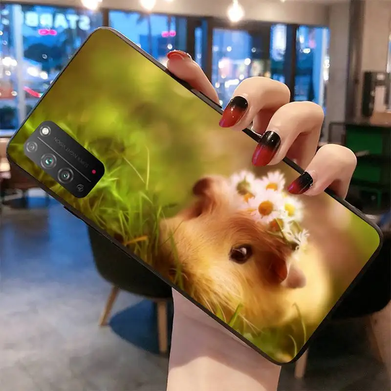 Чехол для Huawei Honor 30 20 10 9 8 8x 8c v30 Lite view pro с изображением морской свинки | Мобильные