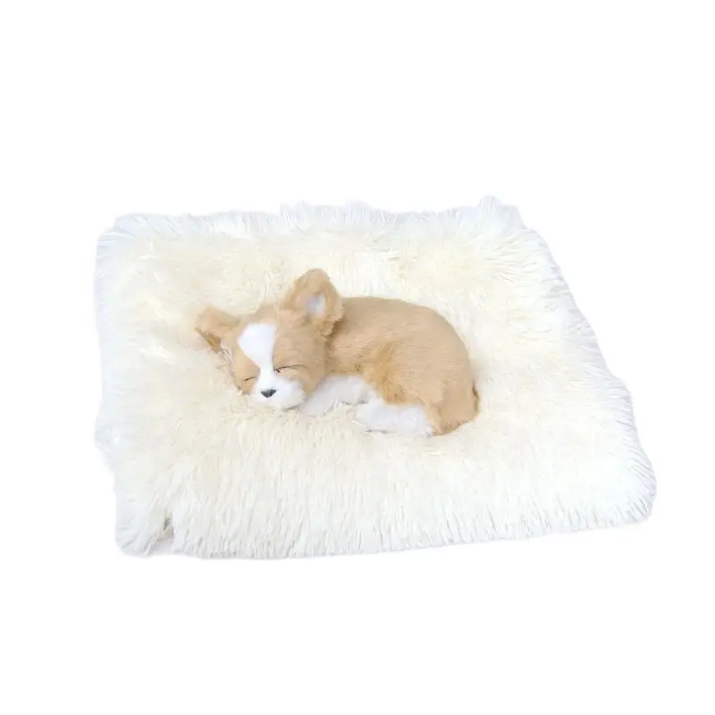 Bean Bag Dog Bed