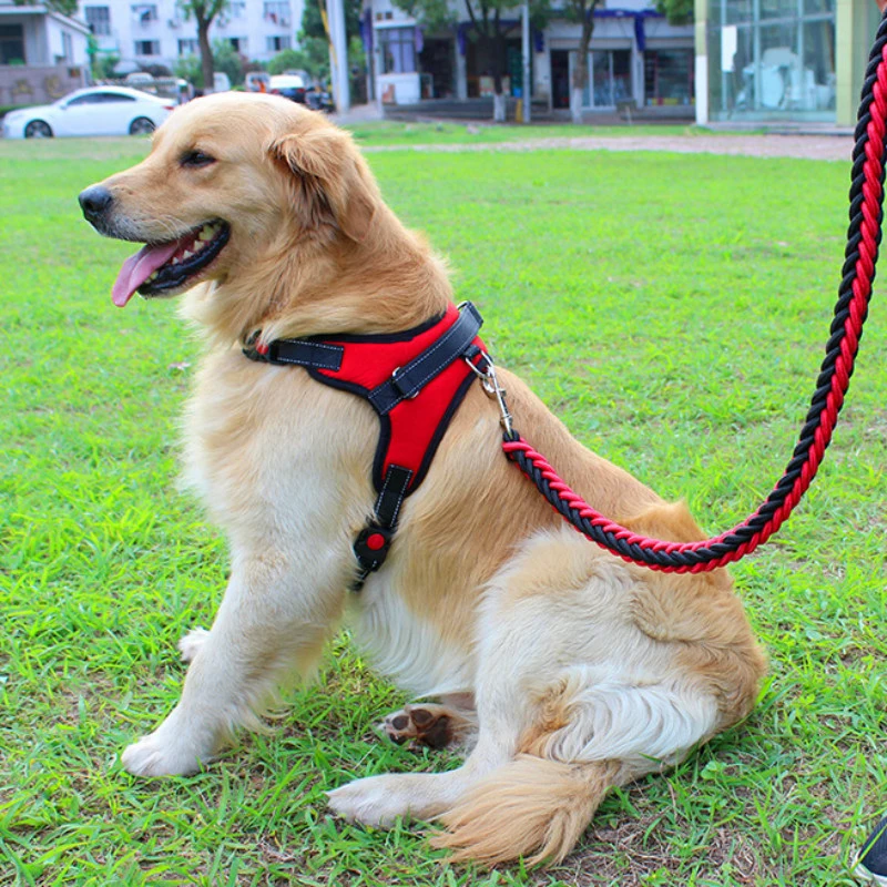 Нейлоновые шлейки для собак утолщенные Высококачественная уличная шлейка