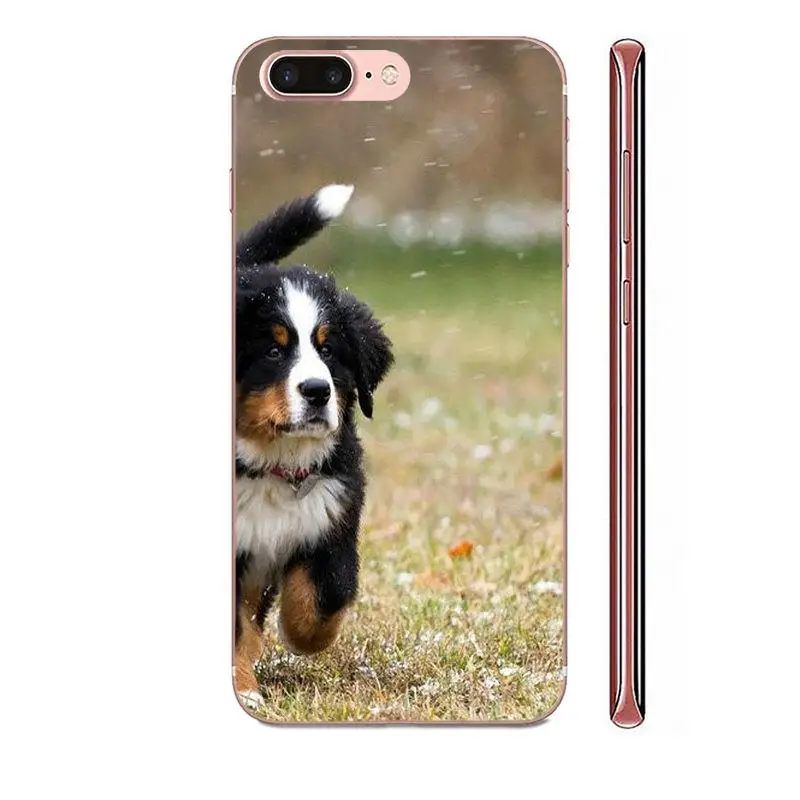 Soft TPU Stylish Case Bernese Mountain Dog For Apple iPhone 4 4S 5 5C 5S SE SE2 6 6S 7 8 11 Plus Pro X XS Max XR | Мобильные