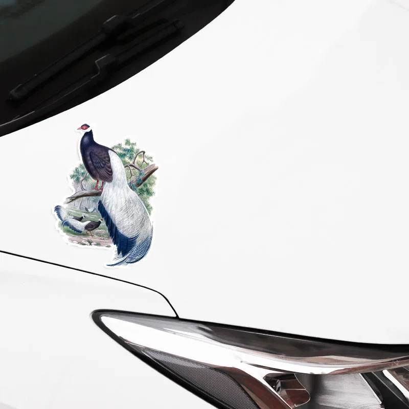 

Car Stickers Decor Motorcycle Decals Mysterious Peacock Decorative Accessories Creative Sunscreen Waterproof PVC,17cm*12cm