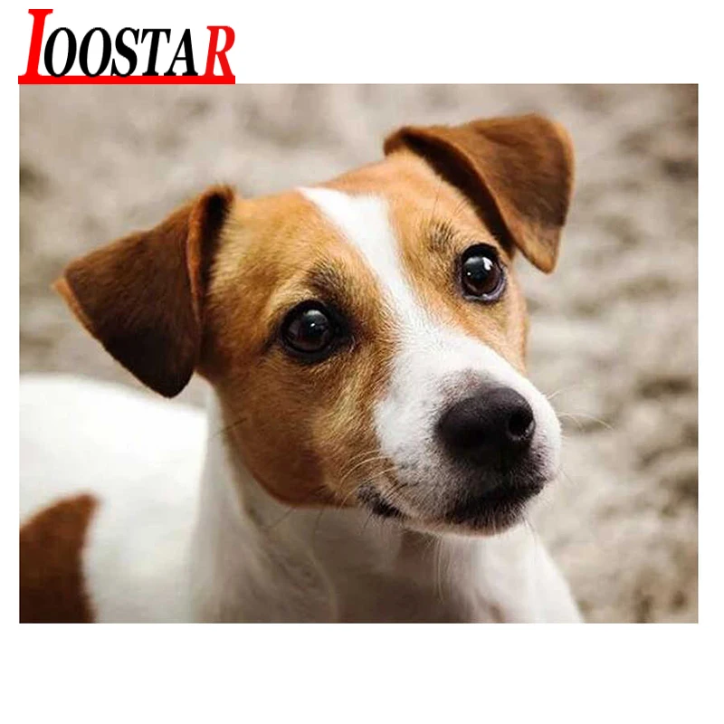 &quotДжек Рассел терьер&quot DIY Алмазная вышивка полностью Квадратный бриллиант 5d