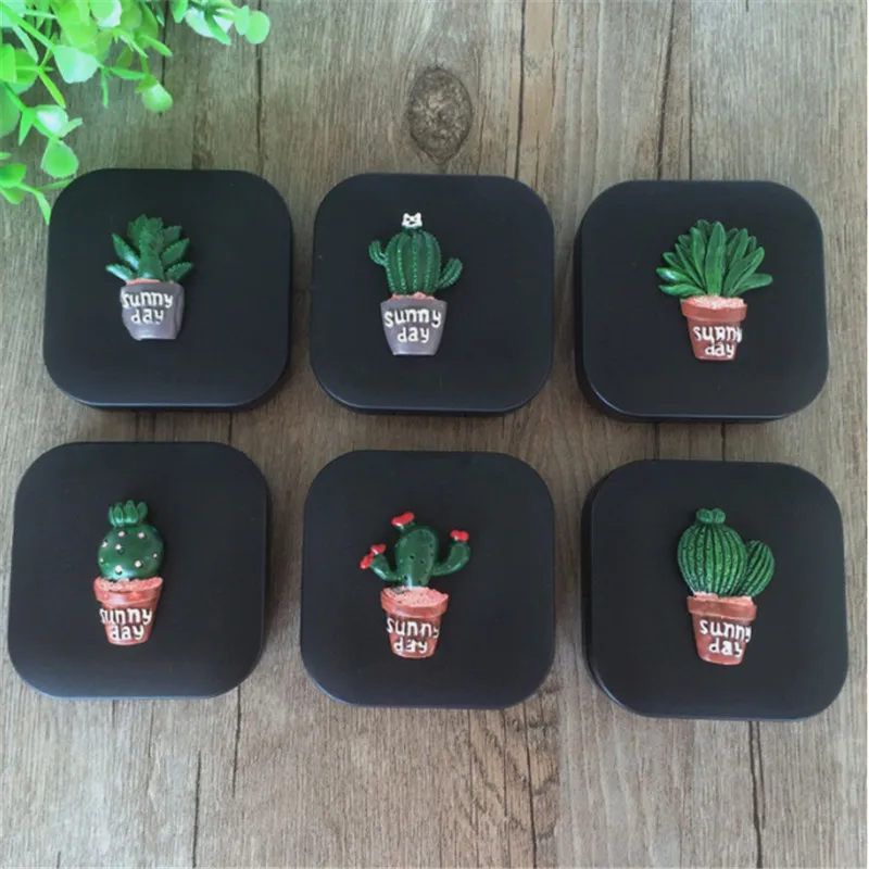 Новый чехол для контактных линз коробка ухода за контактными линзами кактус