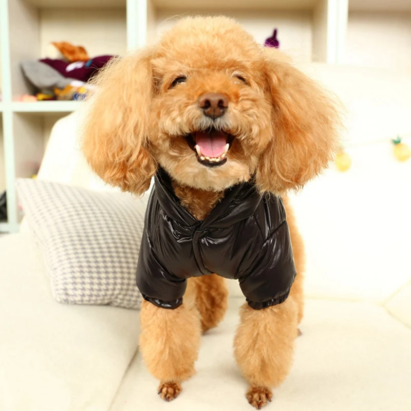 

Dog Clothes Winter Warm Pet Dog Jacket Coat Clothing Hoodies Windproof Fashionable Coat for Small Medium Dogs