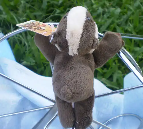 Магнит на холодильник для детей с изображением животных серого мефитина | Дом и