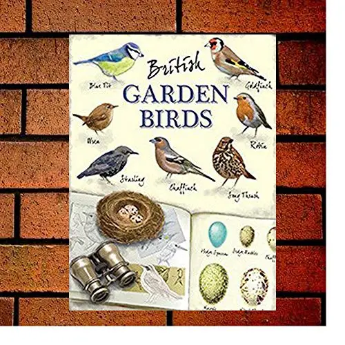 

British Birds Retro Metal Sign 8x12 Wall Decor