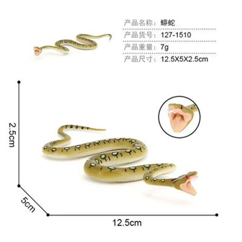 

New Simulation Reptiles The Growth Process Model Child Mini Animal Cobra Python Boa Constrictor PVC Action Figures Doll toy Kids