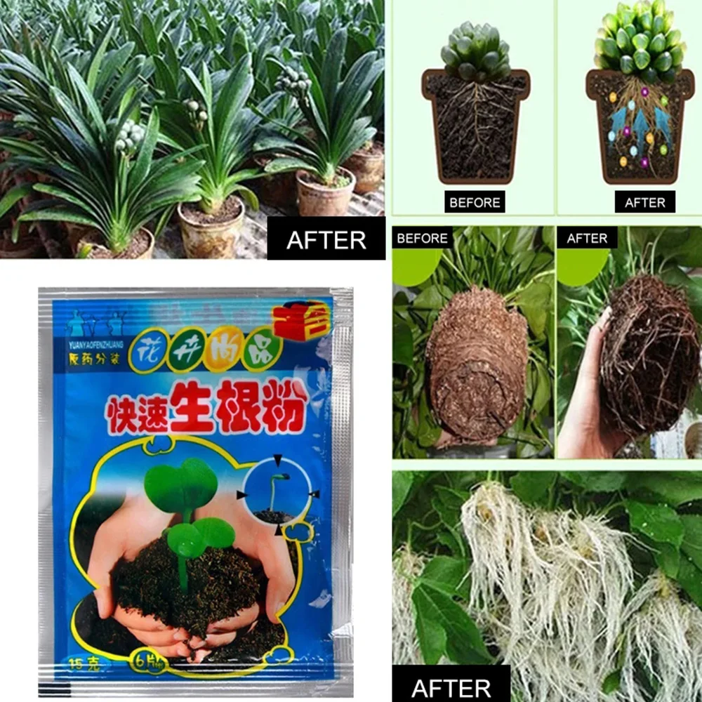 

Quick Rooting Powder Bonsai Plant Rapid Grow Rooting Hormone Powder Promote Growing Seedling Germination Fertilizer