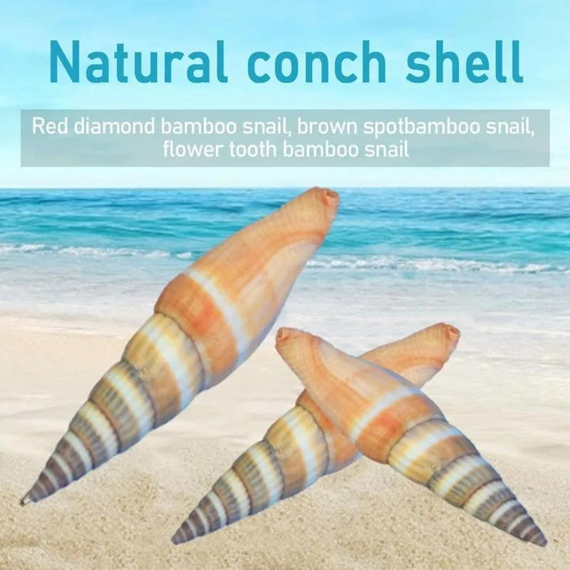 5-7 см оранжевый красный перец раковина натуральная Морская ракушка морской