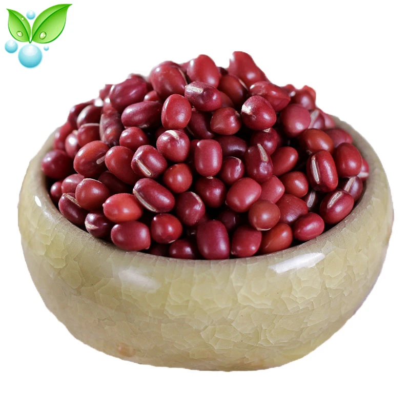 Красная фасоль красная адзуки Xiao Hong Dou маленькая Chi Органическая каша из красной