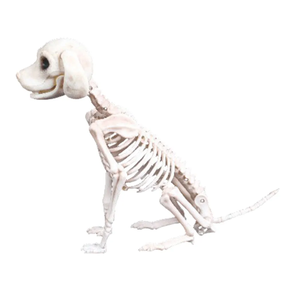 Halloween Skeleton Dog Prop Animal Bones Party Shop Decoration Horror Skull Props | Дом и сад