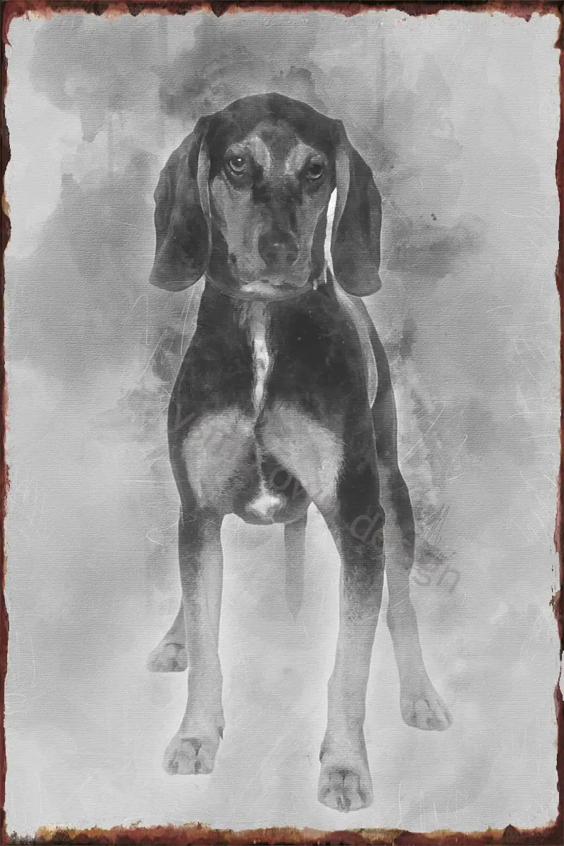 

Жестяные пластины крест-порода с бигелем, Настенный декор, Ретро винтажный металлический знак, жестяной знак для искусства, паба, дома, клуб...