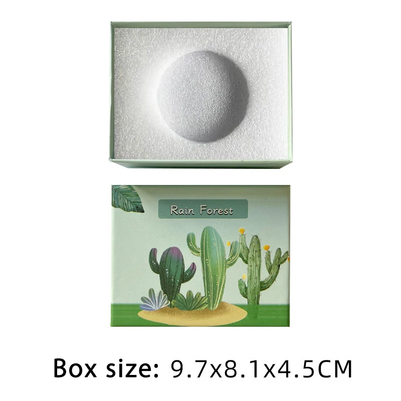 

Cactus Desktop Decoration Glass Living Room Small Decoration Home Decoration European Micro Landscape Decoration Bonsai