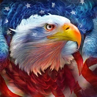 diamond embroidery american eagle mosaic crystal 5d cross stitch square drill diamond painting diy sticker decoration paintings