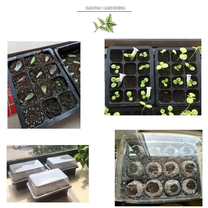 Упаковка из 10 шт. ящики для рассады семян стартер завод цветок коробка