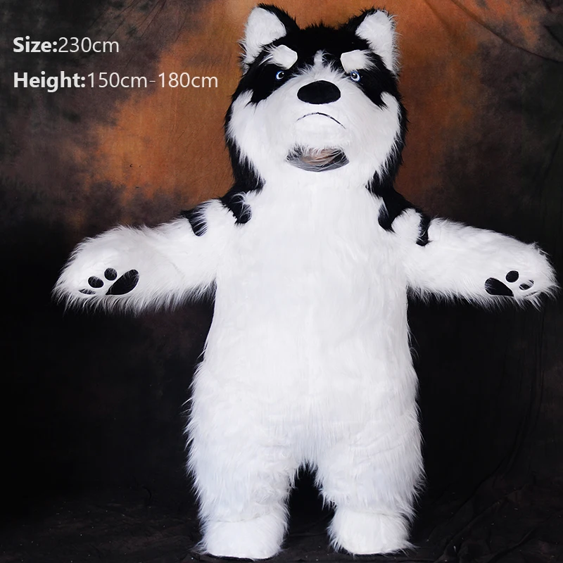 Murr Suits Murr Suits