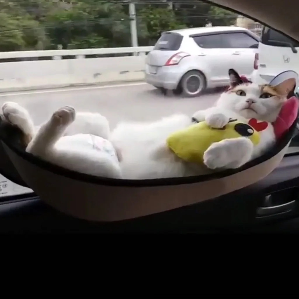 Кошачий окошко присоска собаки глубокий сон кошка Спящая кровать товары для