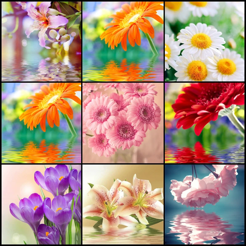 

5d Diy Diamond Painting Cross Stitch Kits Flower Daisy Full Square Picture of Rhinestones Diamond Embroidery Mosaic Home Decor