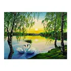 Лебедь пейзаж узор 5D DIY полностью Алмазная вышивка крестиком Алмазная мозаика украшение для дома