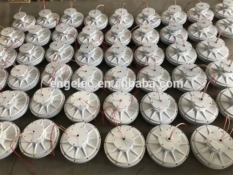 

50w 250rpm Coreless Maglev Generator 14VAC to DC rare earth permanent magnet generator 50W PMG