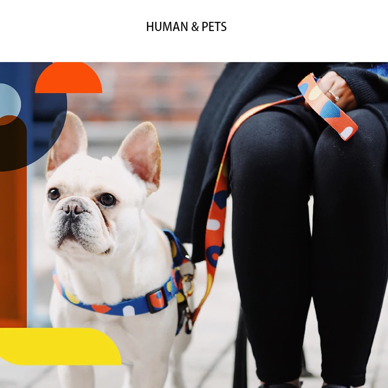 Ошейник для домашних питомцев серии Higo цветной регулируемый поводок из мягкого