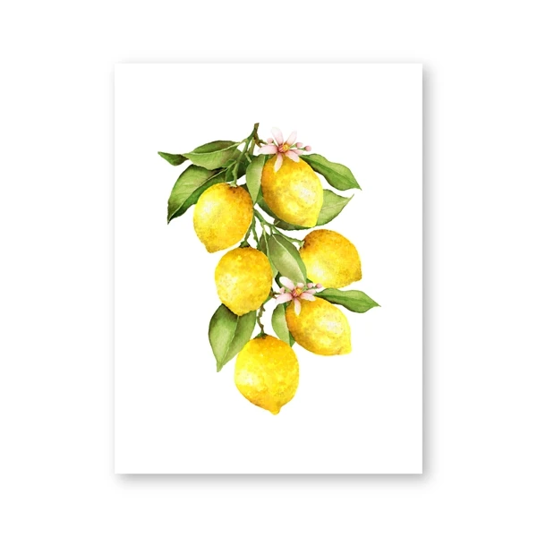 

Живопись "Лимон на ветке" Ilan grace