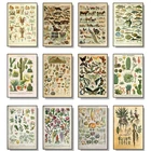 Ретро-постер на холсте с изображением овощей и фруктов, в скандинавском стиле, аксессуары для украшения гостиной, спальни, коридора