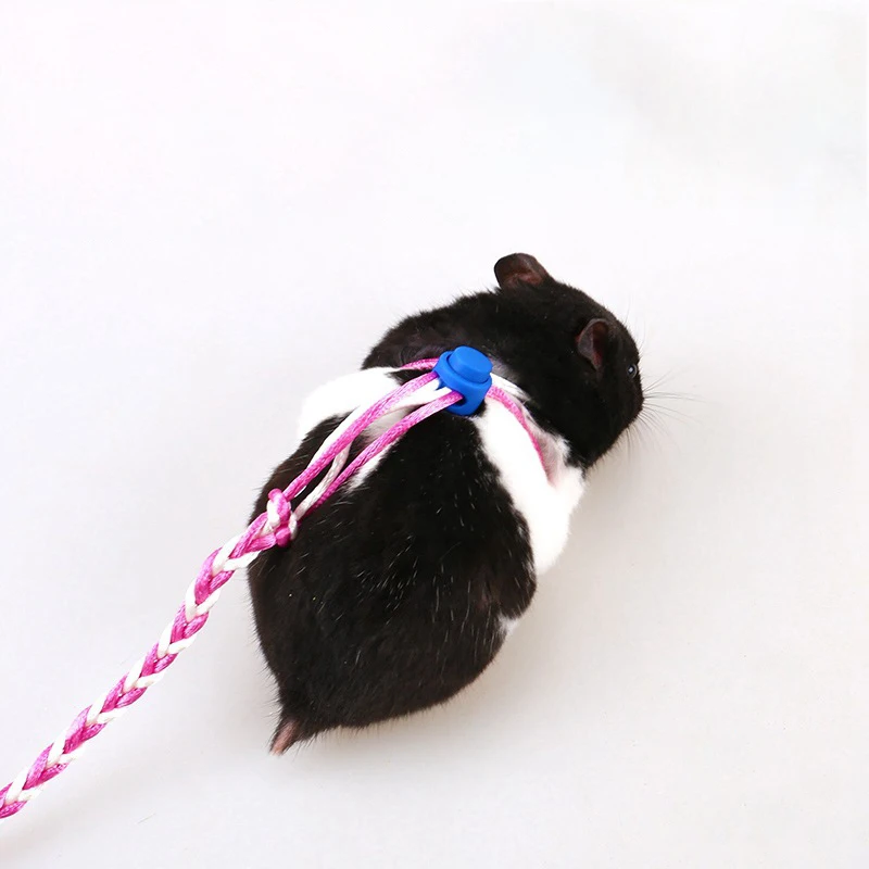 Aapet 1 шт. с круглым вырезом под горловину открытое детское ошейник для маленьких