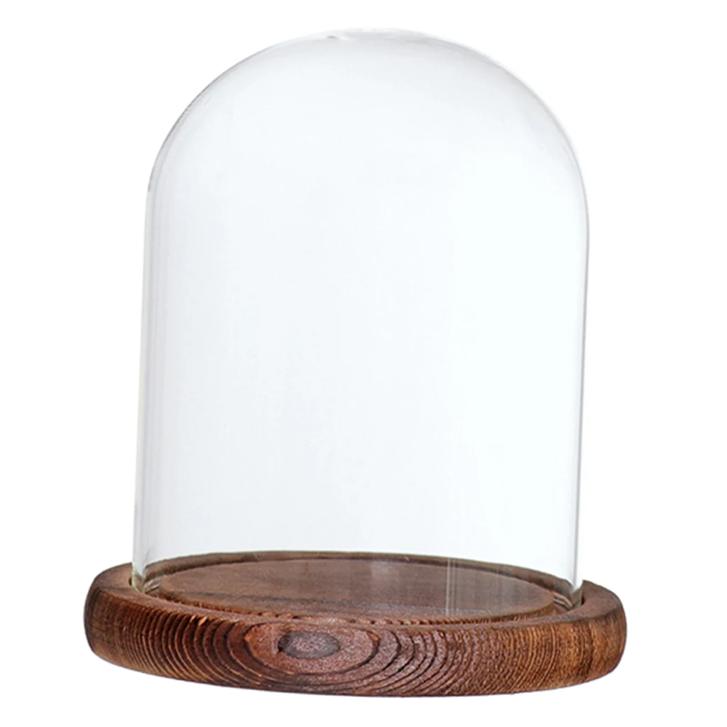 

MagiDeal Glass Dome Cloche with Wooden Base Flower Landscape Holder Glass Cover Black for Birthday Halloween Wedding Decoration