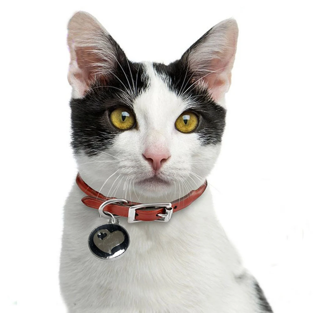 Ожерелье с именной биркой кольцо для ключей подвеска на воротник домашних