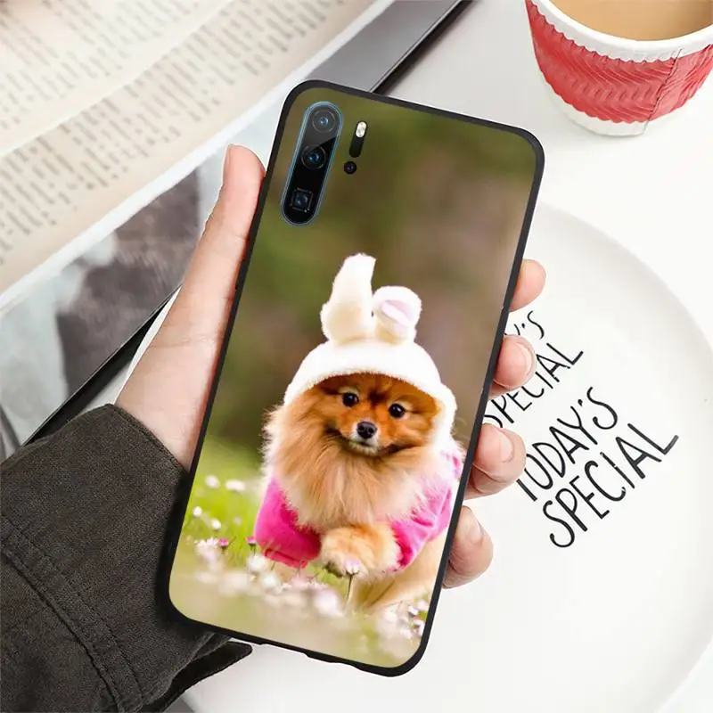 

Pomeranian dogs dog Phone Case For Huawei honor Mate P 9 10 20 30 40 Pro 10i 7 8 a x Lite nova 5t