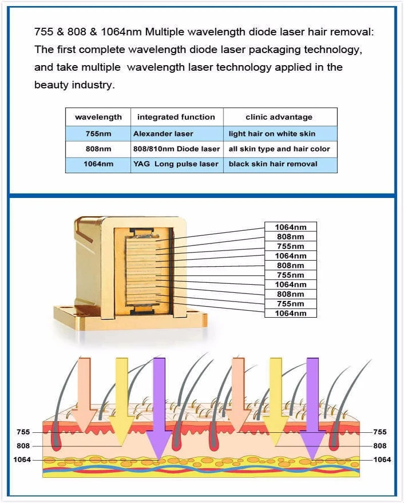 Wavelength 755nm 808nm 1064nm Permanent Alexandrite Diode Laser Hair Removal Machine Laser Painless Salon Use