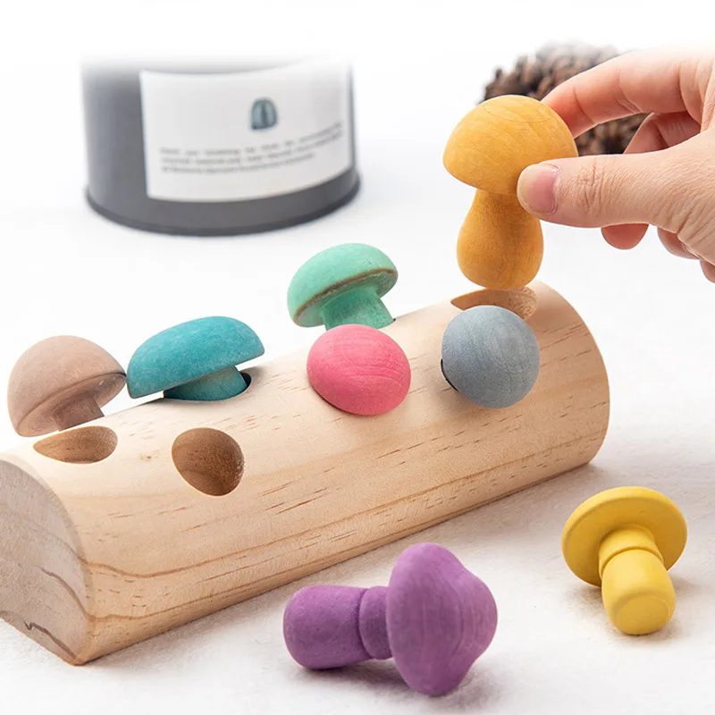 

Wooden Rainbow Blocks Mushroom Picking Montessori Educational Wooden Baby Toys Developmental Shape Matching Assembly Grasp D1044