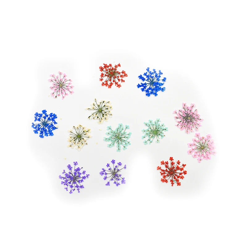 Цветок свадебные приглашения кружева засушенные цветы _ красивая 10 шт./пакет