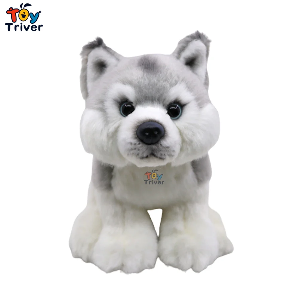 

Kawaii Собака Хаски плюшевые игрушки мягкие животные куклы Дети Мальчики Девочки взрослые подарки на день рождения дом
