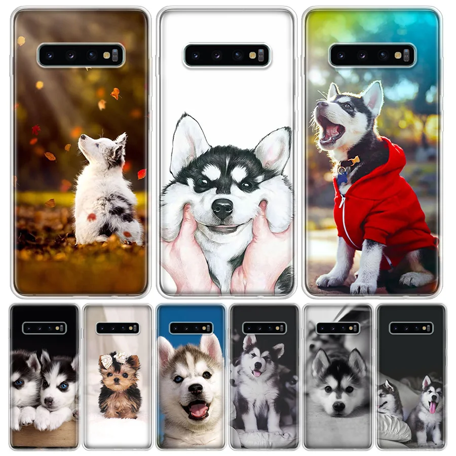 Чехол для телефона с изображением щенка Хаски Samsung Galaxy A90 A71 A70 A51 A50 A10 A11 A41 A30 A40 M30S A01