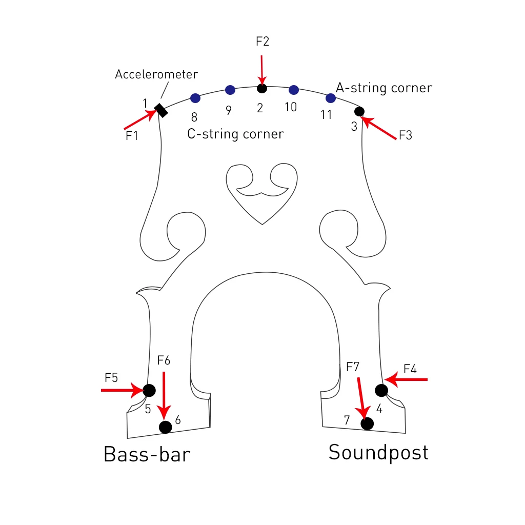TOP AA Grade Maple Double Bass Upright Bridge Snowflake Pattern German Style For 4/4 3/4 1/2 1/4 1/8 | Спорт и развлечения