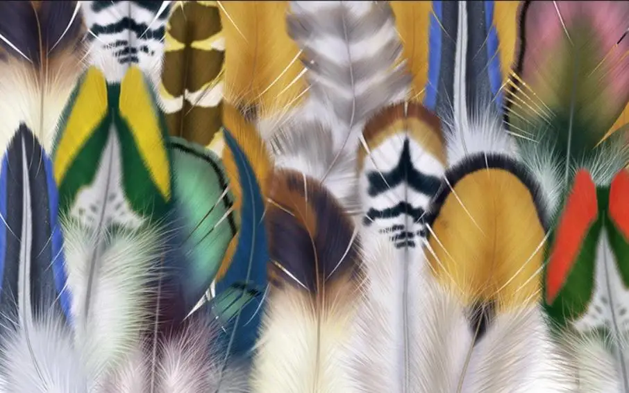 Настенные обои с окошком модные красочные птицы перья фоновые для гостиной