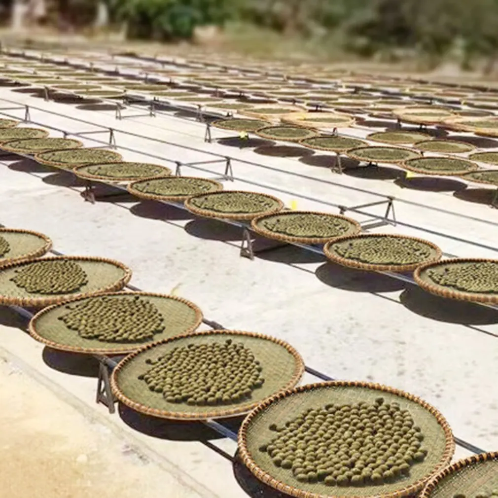 Игрушки для домашних животных кошачья мята безопасные товары здоровых кошек