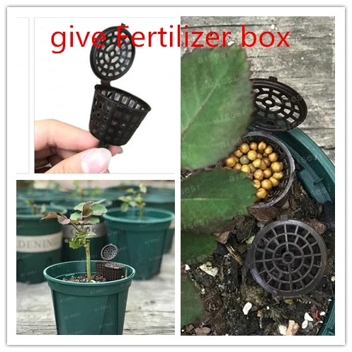 2 шт. коробка для удобрений бонсай инструмент удобрение крышка корзина корпус