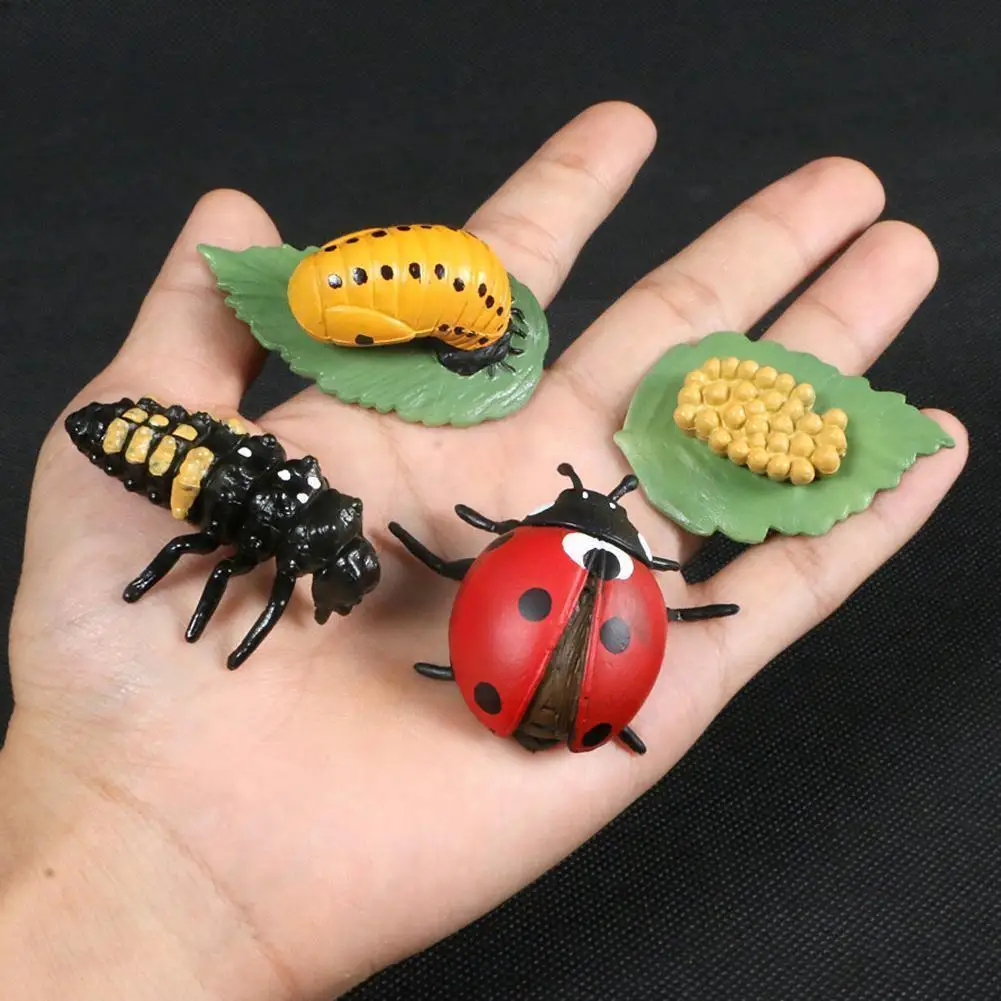 

Моделирование животных цикл роста пчела, божья коровка, паук модели образовательные пластиковые экшн-цикл жизни фигурки Пазлы игрушки F8o7