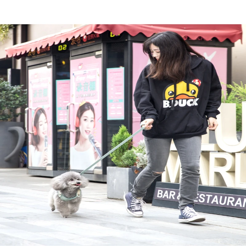 

Vest-style Dog Leash Teddy Small Animals Bichon Pet Chest Harness Puppy Cat Chain Dog Accessories