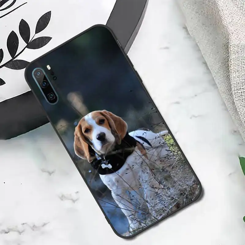 

Beagles cute dog animal Phone Case For Huawei honor Mate P 10 20 30 40 i 9 8 pro x Lite smart 2019 nova 5t