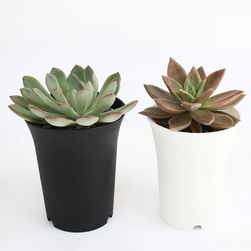 5 шт. горшок для растений небольшой мини бонсай суккулент комнатные Вьентьян