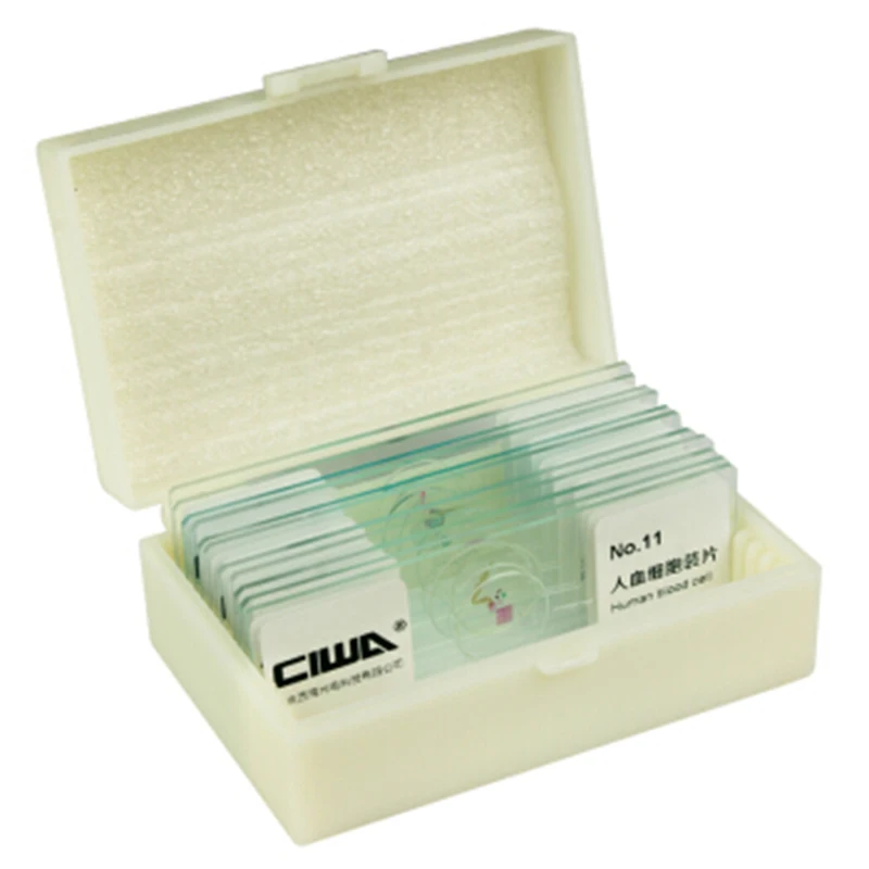 

2021 HD Microscope Biological 11 Specimen Slices Plant animal samples Slice for Students hd science Plant cell experiment slices